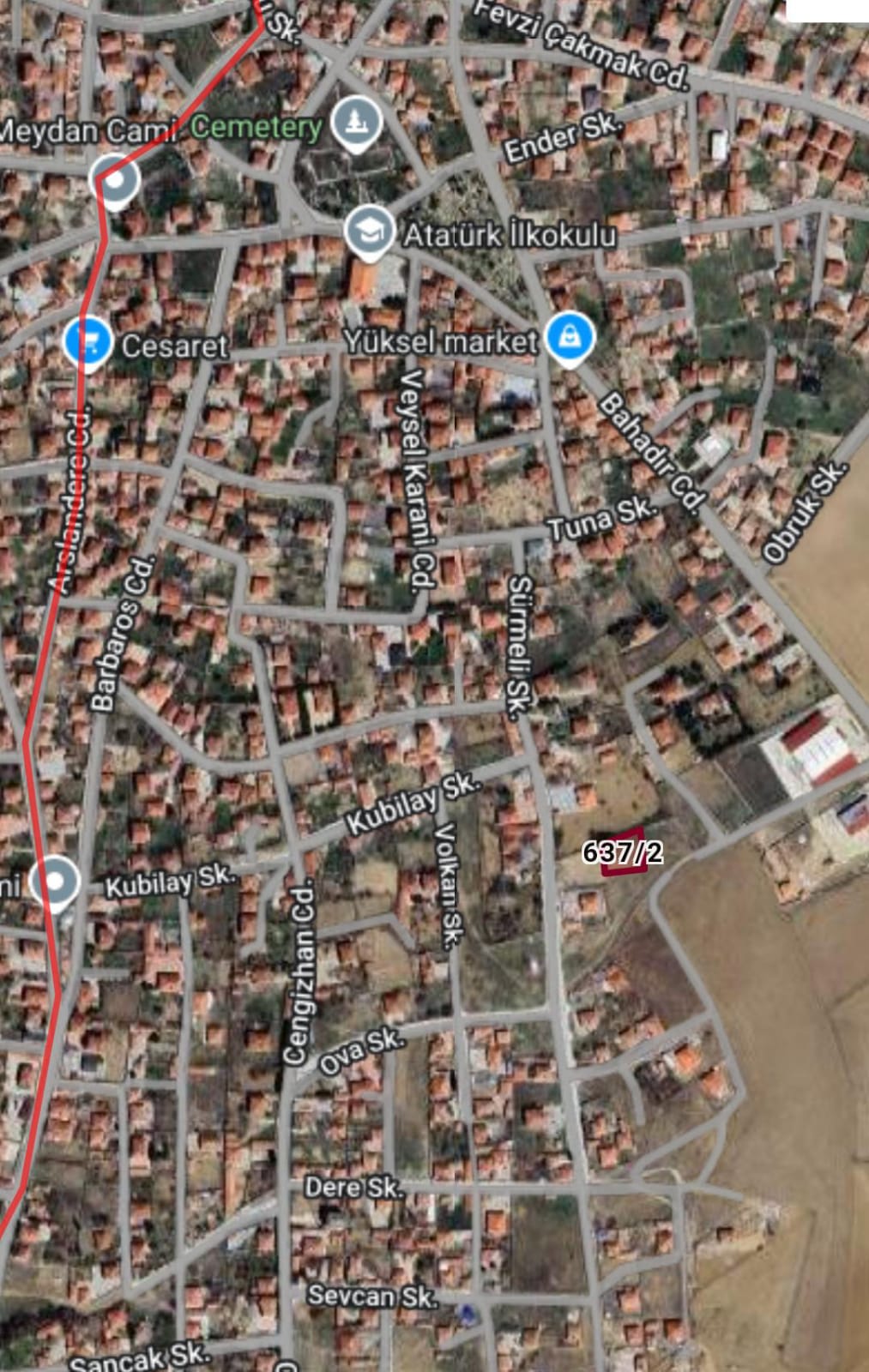 Fotoğraf